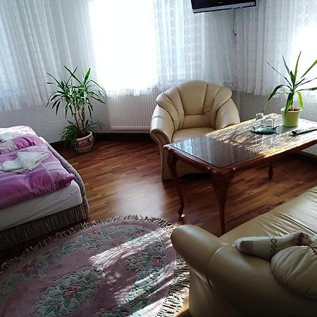 Pension Reichel Freiberg Zewnętrze zdjęcie